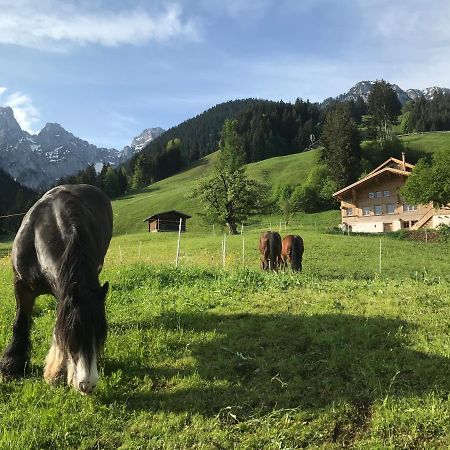 Au Pre Des Chevaux Bed and Breakfast Château-d'Oex Eksteriør billede