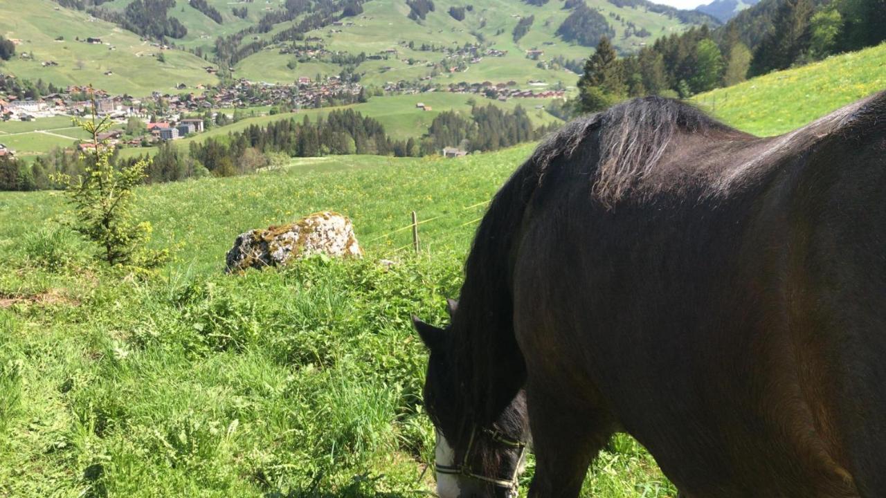 Au Pre Des Chevaux Bed and Breakfast Château-d'Oex Eksteriør billede