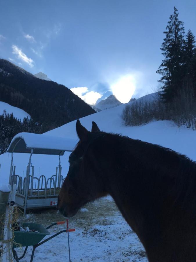 Au Pre Des Chevaux Bed and Breakfast Château-d'Oex Eksteriør billede