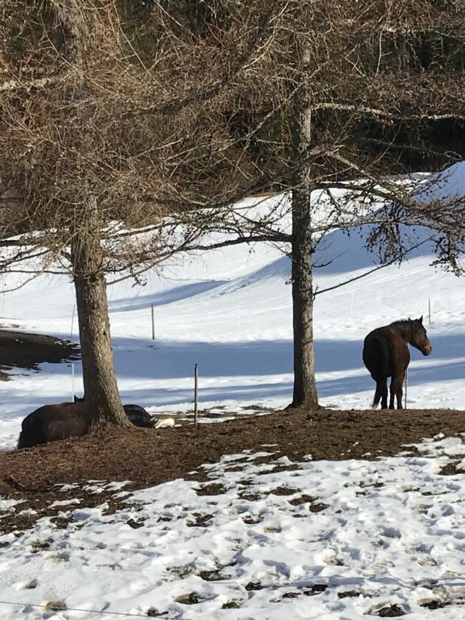 Au Pre Des Chevaux Bed and Breakfast Château-d'Oex Eksteriør billede