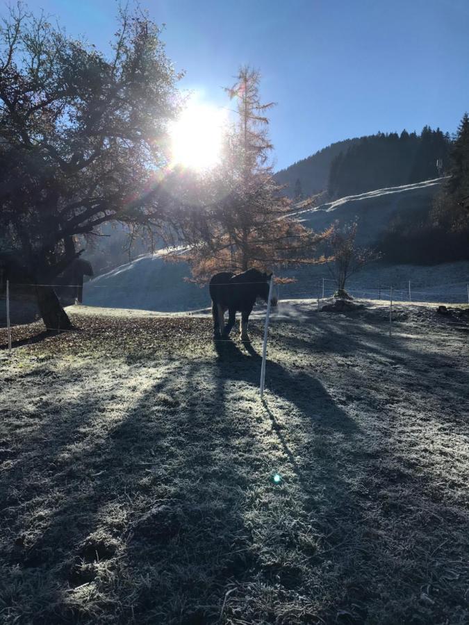 Au Pre Des Chevaux Bed and Breakfast Château-d'Oex Eksteriør billede