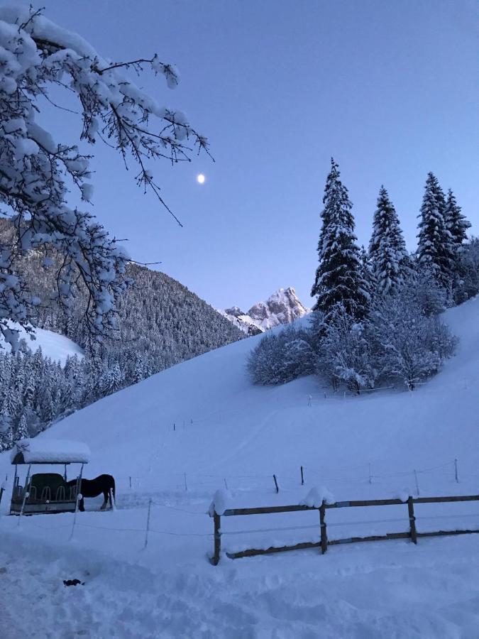 Au Pre Des Chevaux Bed and Breakfast Château-d'Oex Eksteriør billede