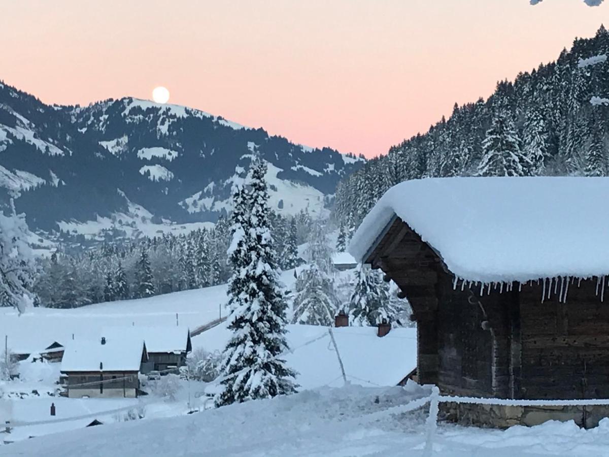 Au Pre Des Chevaux Bed and Breakfast Château-d'Oex Eksteriør billede