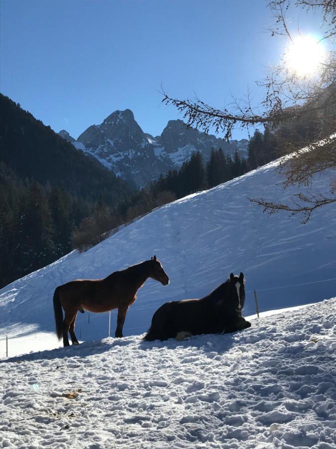 Au Pre Des Chevaux Bed and Breakfast Château-d'Oex Eksteriør billede