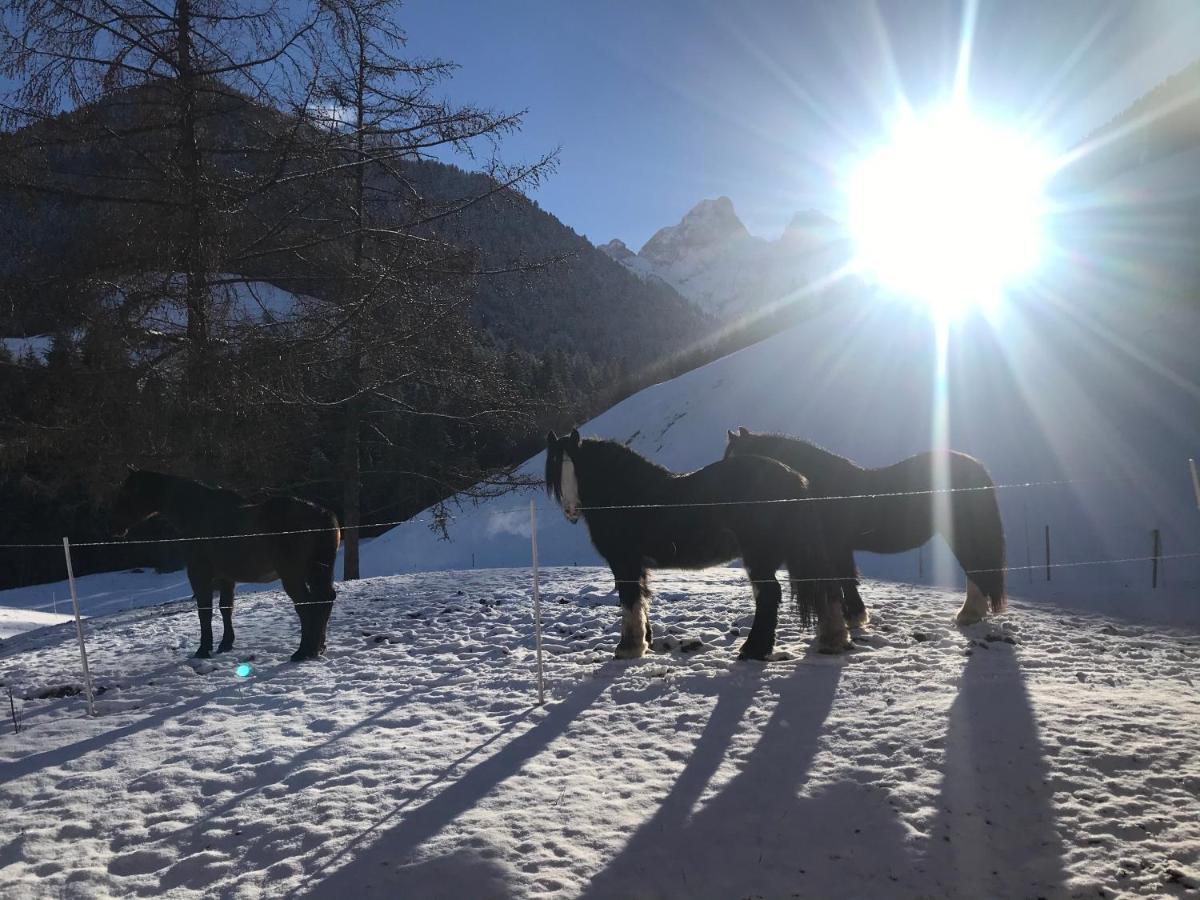 Au Pre Des Chevaux Bed and Breakfast Château-d'Oex Eksteriør billede
