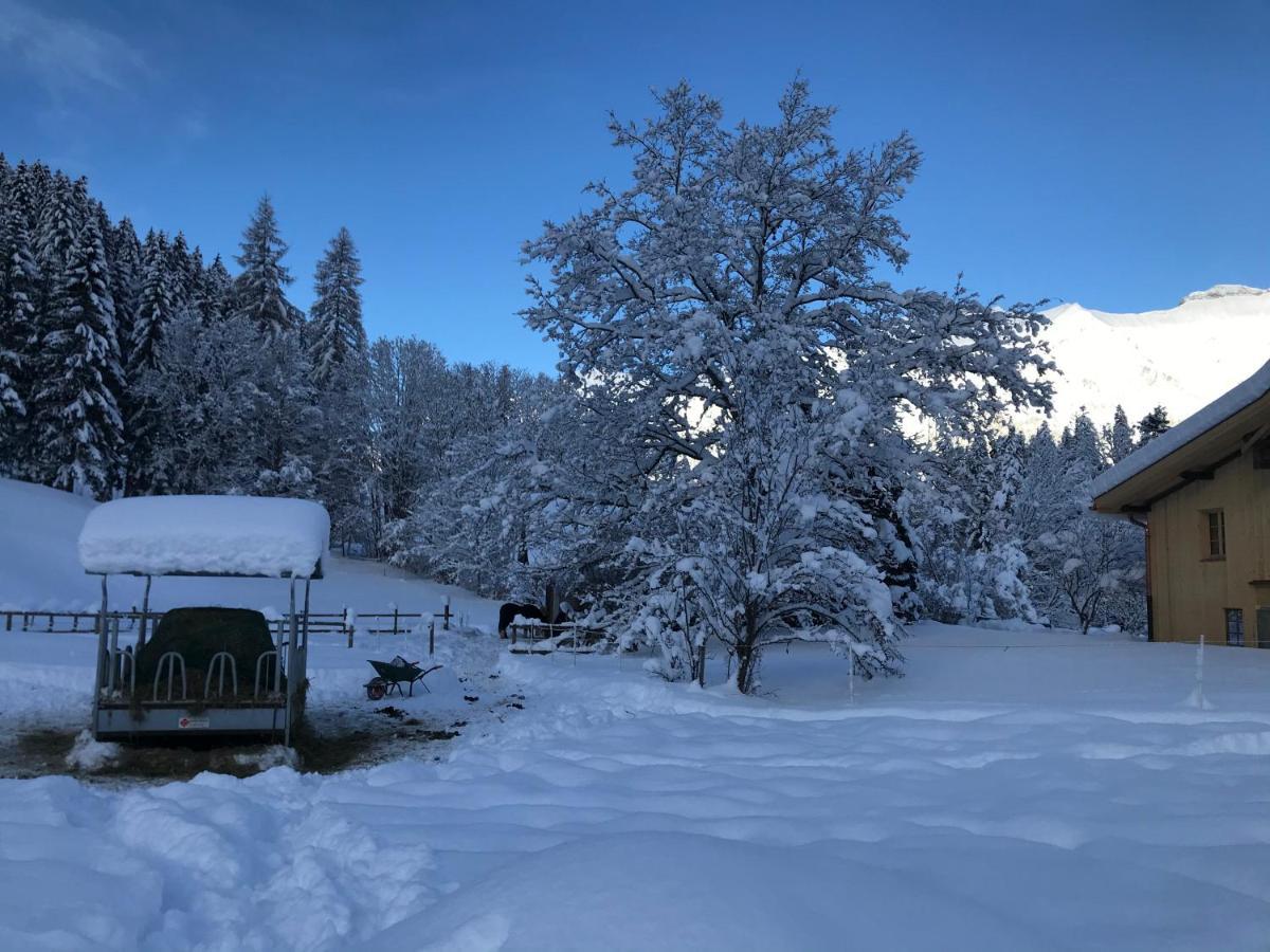 Au Pre Des Chevaux Bed and Breakfast Château-d'Oex Eksteriør billede