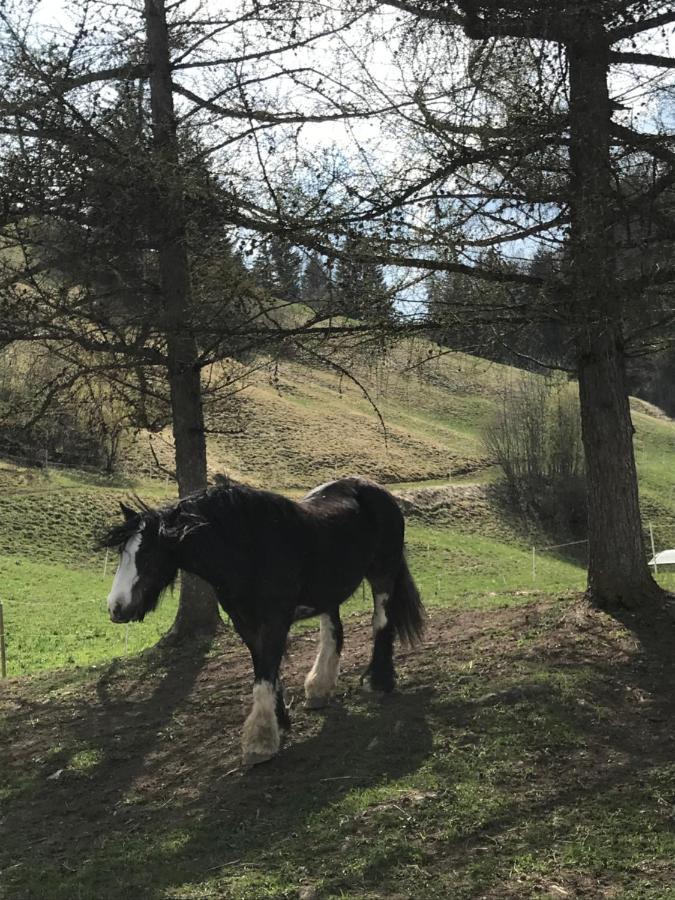 Au Pre Des Chevaux Bed and Breakfast Château-d'Oex Eksteriør billede
