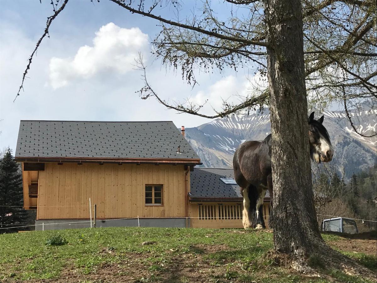 Au Pre Des Chevaux Bed and Breakfast Château-d'Oex Eksteriør billede