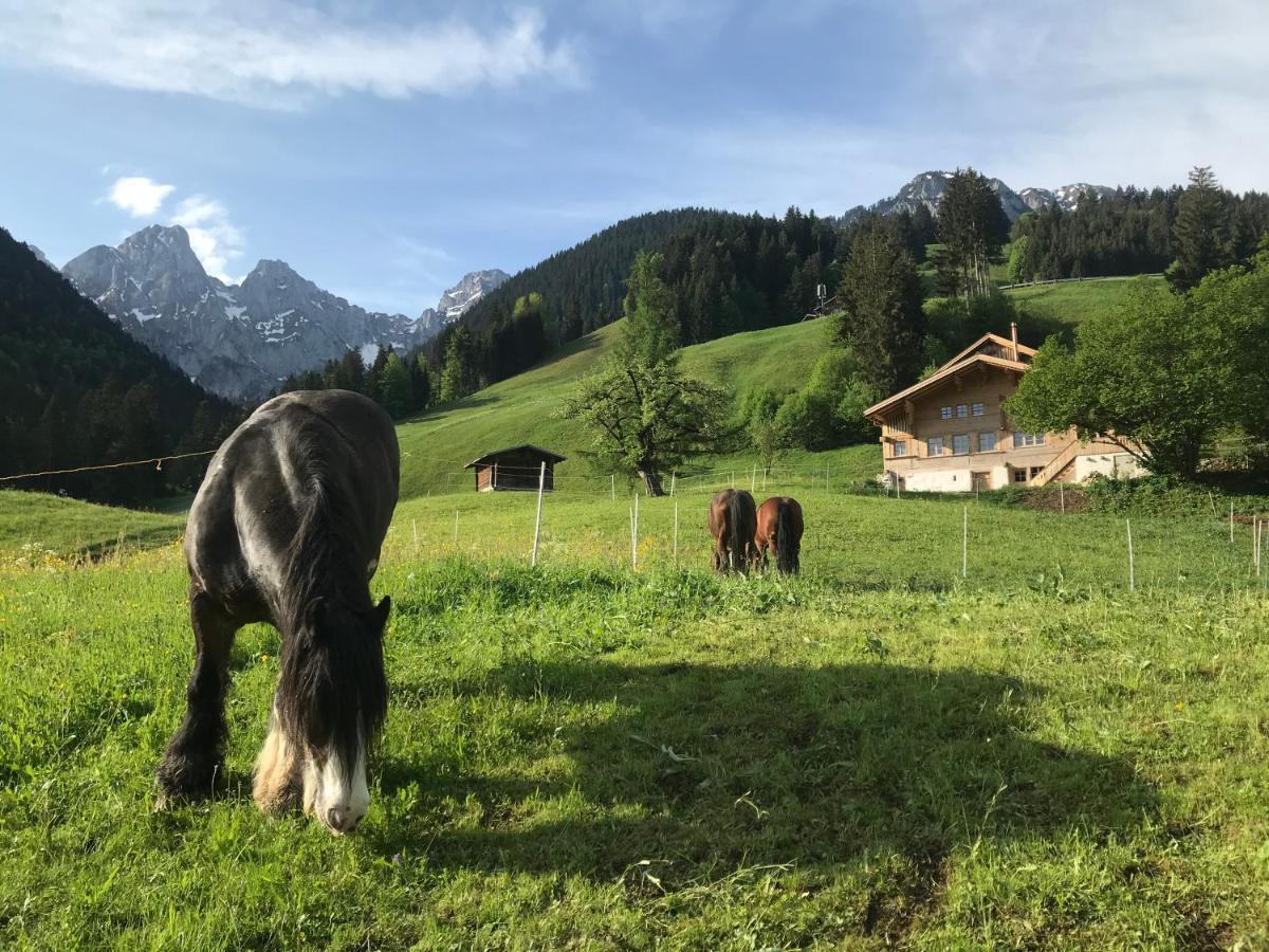 Au Pre Des Chevaux Bed and Breakfast Château-d'Oex Eksteriør billede